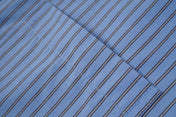 Button Down Collar Stripe Shirt