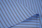 Button Down Collar Stripe Shirt