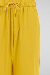 Fluid Elastic Shorts