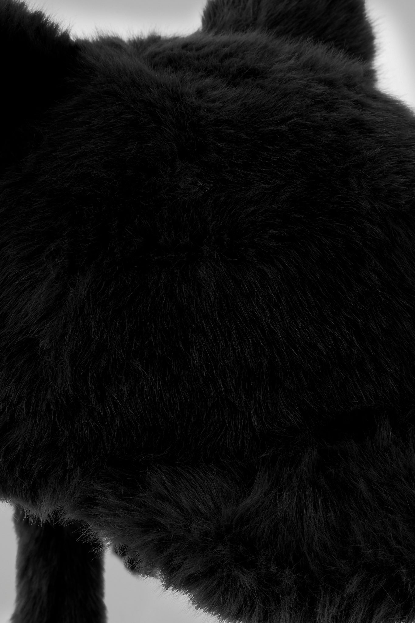 Black Plush Cat Ears Hat