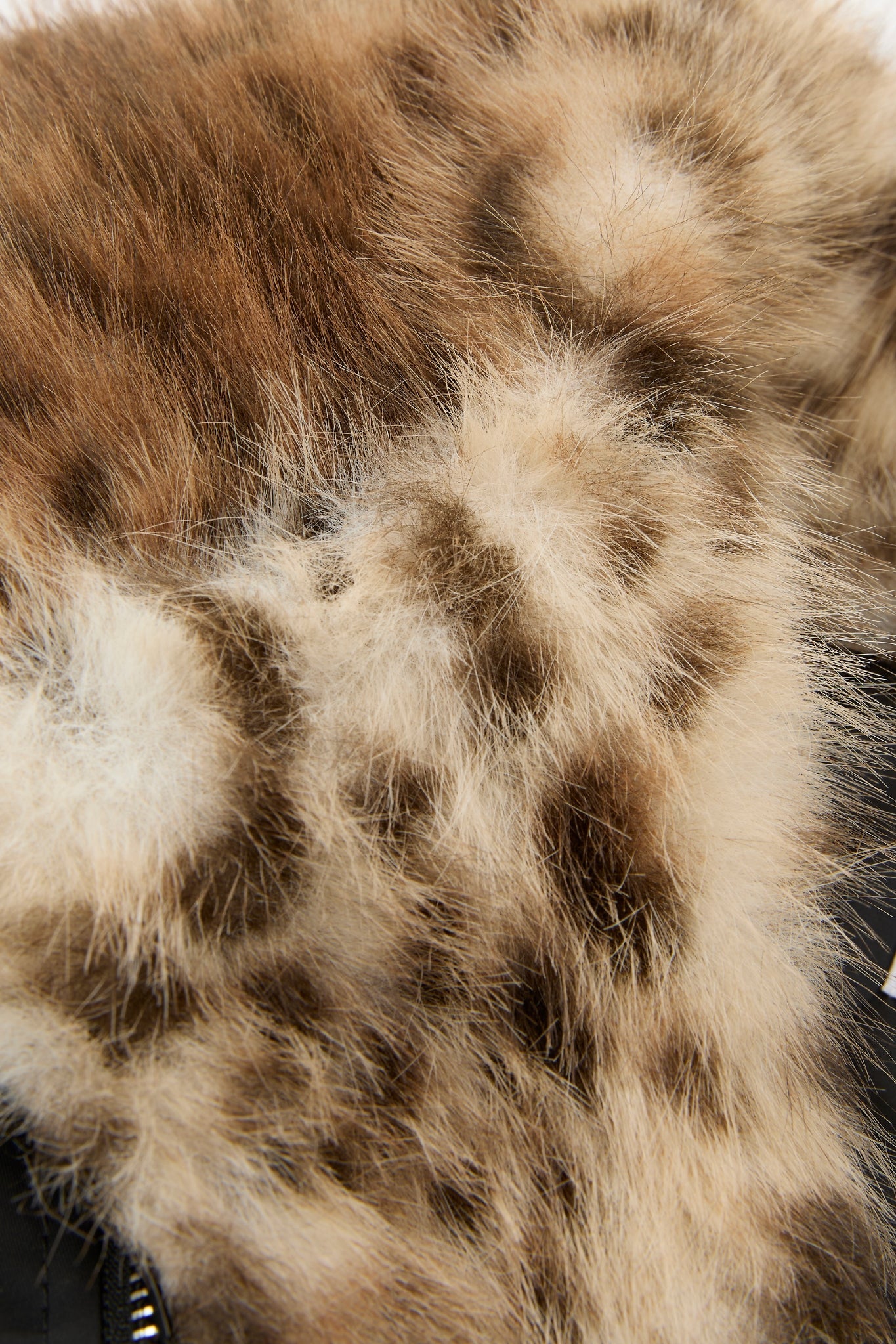 Leopard Collar Flight Jacket