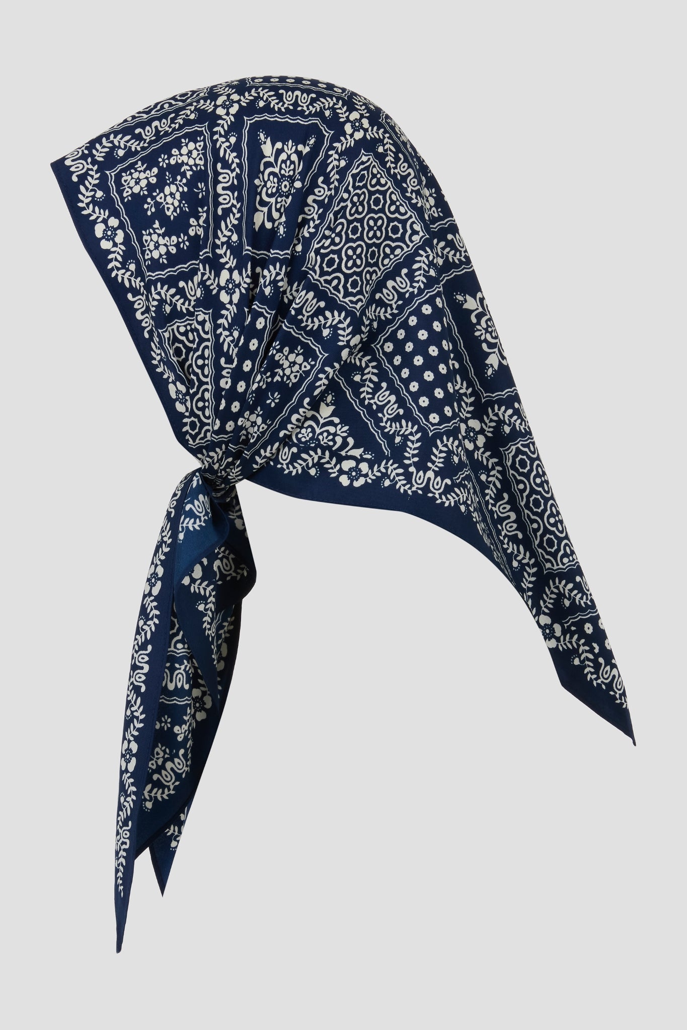 Motif 19