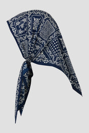 Motif 19